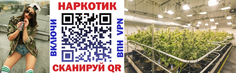 Магазины продажи наркотиков Пучеж кракен зеркало A-PVP ГАШИШ Меф мяу мяу COCAIN Конопля БУТИРАТ