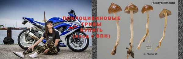 альфа пвп Баксан