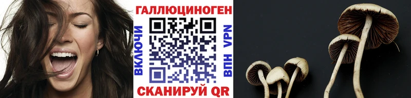Галлюциногенные грибы мухоморы  Пучеж 
